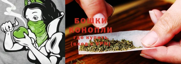 шишки Белокуриха