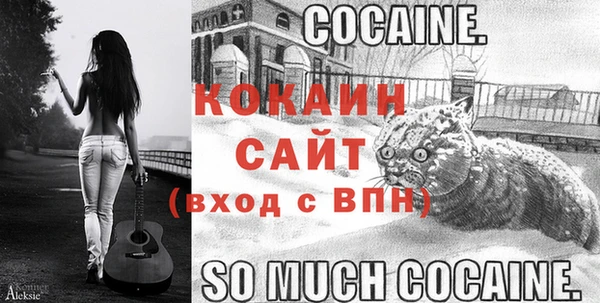 крисы Беломорск