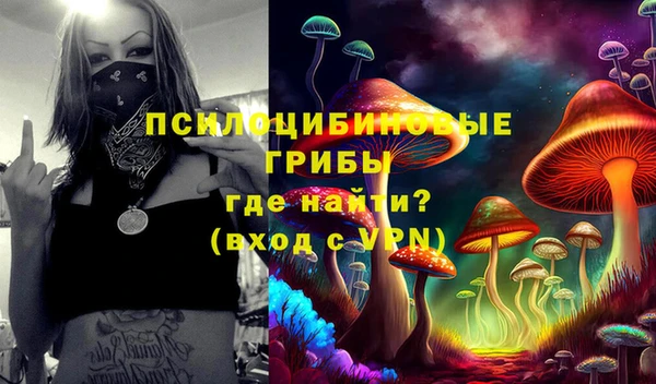 крисы Беломорск