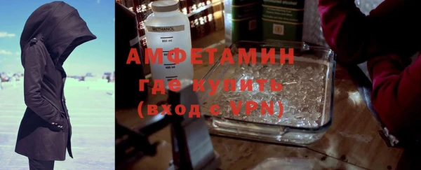 шишки Белокуриха