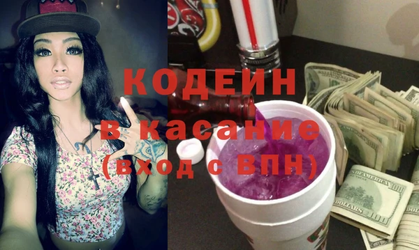 шишки Белокуриха