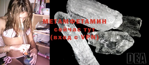 шишки Белокуриха