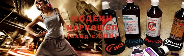 шишки Белокуриха