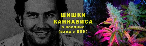 шишки Белокуриха